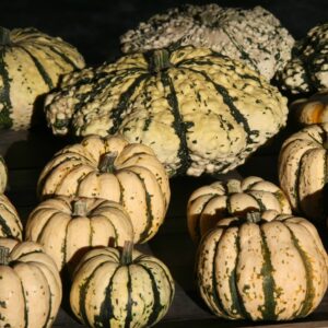 Mille Variétés Anciennes